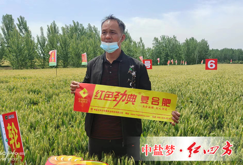 施用探花在线免费观看复合肥 丰收故事说不停