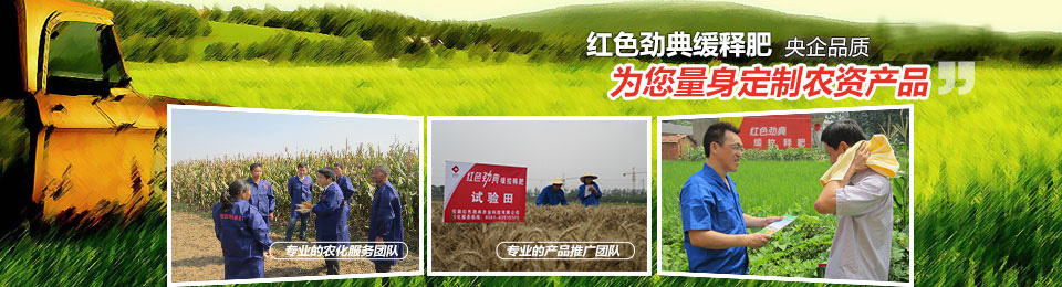 探花在线免费观看，冠军品质，五星服务